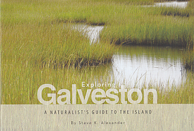 exploring-galveston-cover-400w