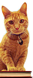 Gus