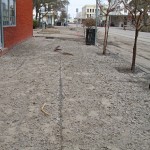 Drying mud covers everything.